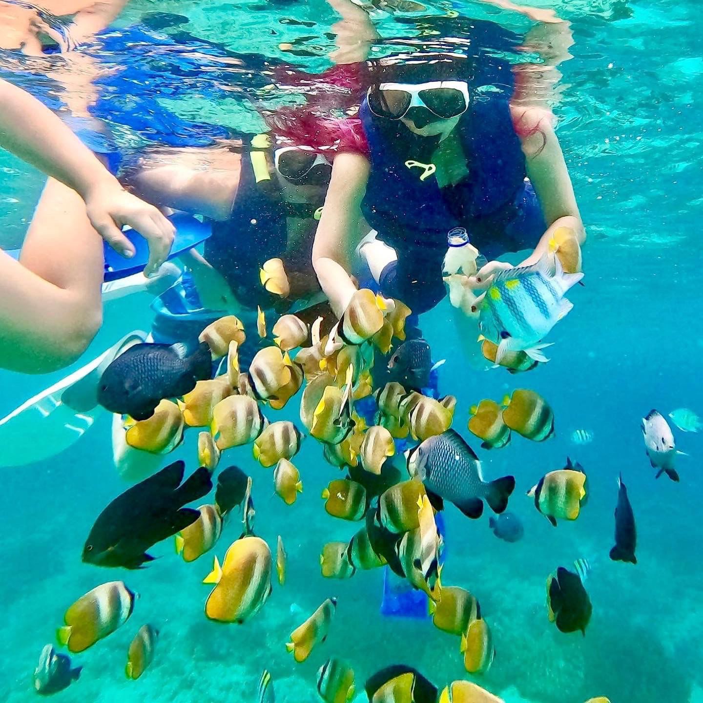 snorkeling-blue-lagoon-love-bali-tour